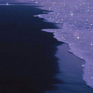 Meet your Posher, Harry